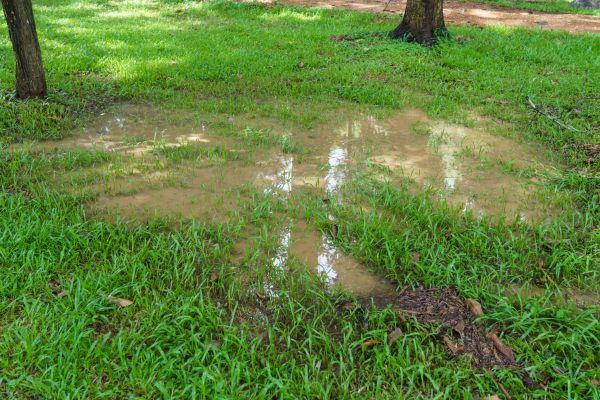Cost of Storm Water Drainage Service in Trenton