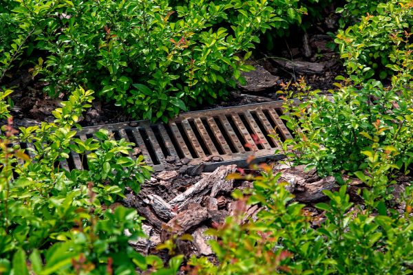 Cost of Underground Drainage Service in Trenton