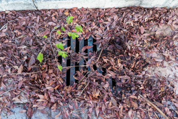 Cost of Yard Drain Unclogging in Trenton