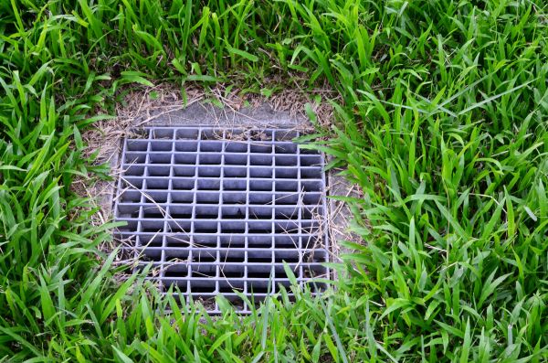 Cost of Yard Drainage Service in Trenton