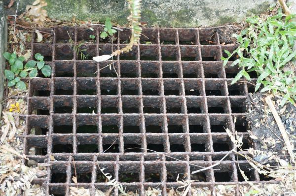 Cost of Yard Drain Cleaning in Trenton
