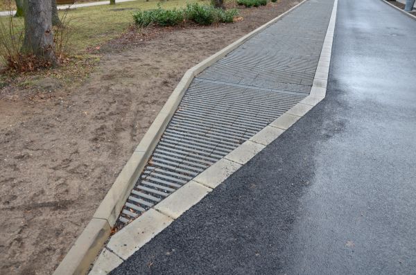 Cost of Muddy Yard Drainage in Trenton