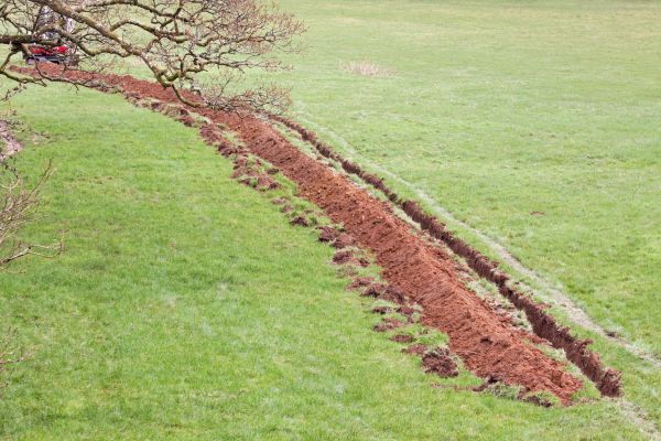 Cost of Swale Installation in Trenton