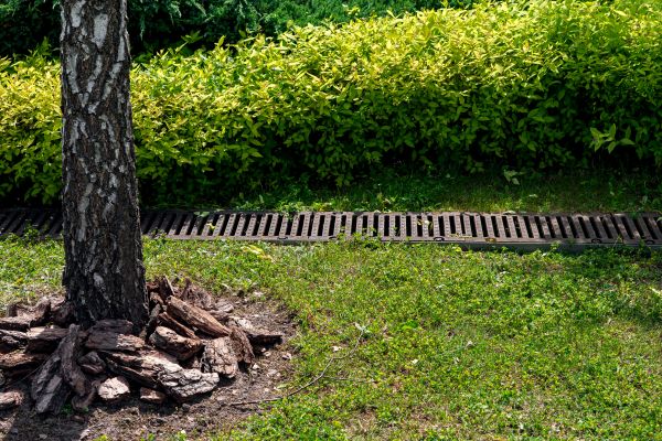Cost of Garden Drainage Installation in Trenton
