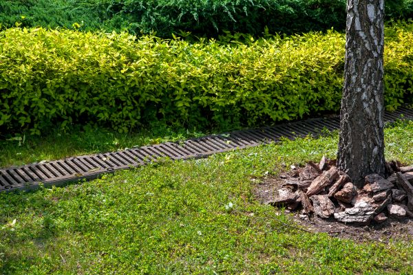 Cost of Residential Landscape Drainage in Trenton