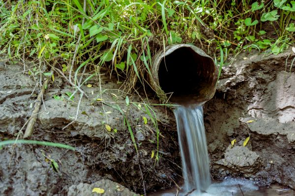 Drainage Tile Repair in Trenton