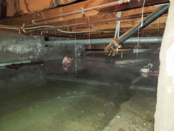Cost of Crawlspace Drainage in Trenton