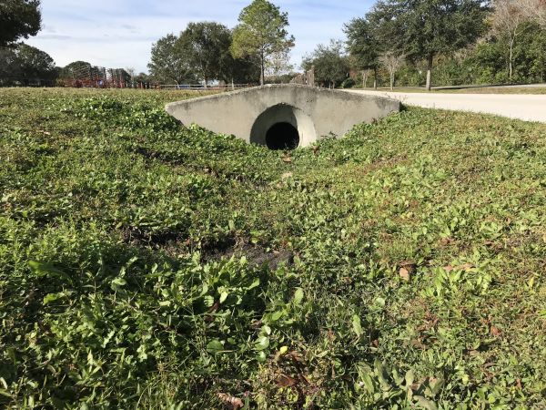 Cost of Swale Drainage Service in Trenton